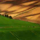 /blog/agriculture-telegram-group-links