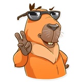 /blog/capybara-telegram-stickers