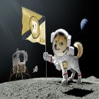 /blog/dogecoin-telegram-group-links