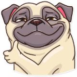 /blog/pug-telegram-stickers