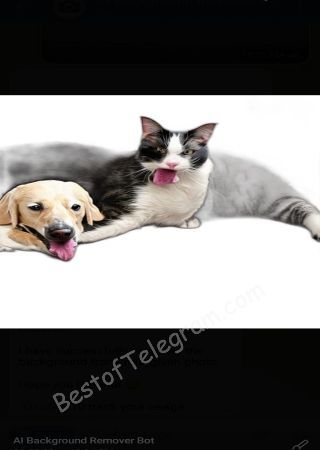 AI_Background_Remover_Bot bot step 3