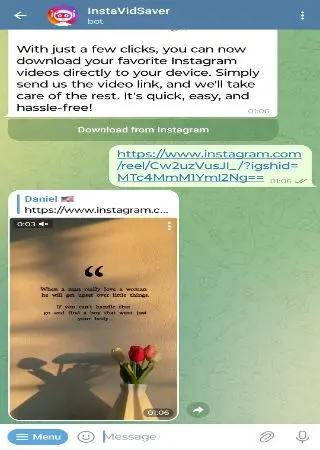 InstaVidSaver preview 2