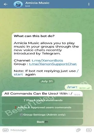 Amicia Music preview 3