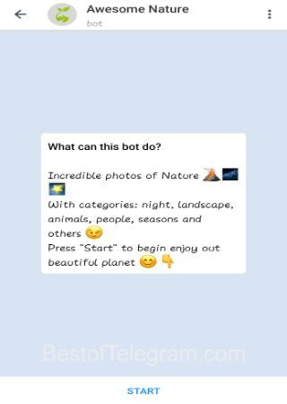 AwesomeNatureBot step 1