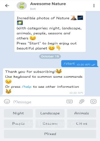 AwesomeNatureBot step 2