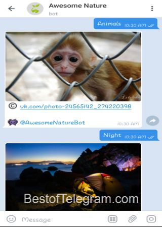 AwesomeNatureBot step 3