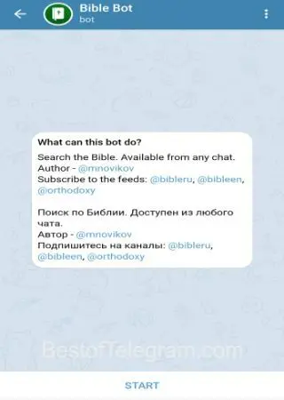 Bible Bot preview 1