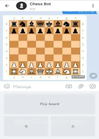 Chess Bot preview 2