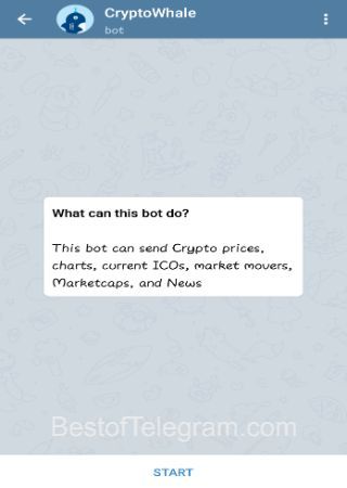 Cryptowhalebot-step-1 