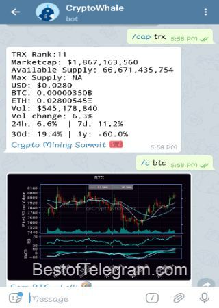 Cryptowhalebot-step-3