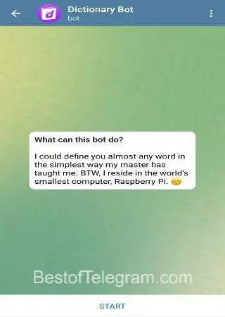 Dictionary Bot preview 1