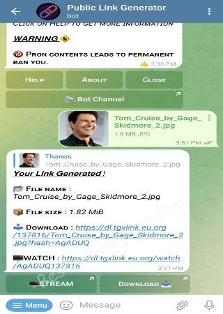 DirectLinkGenerator_Bot bot step 2
