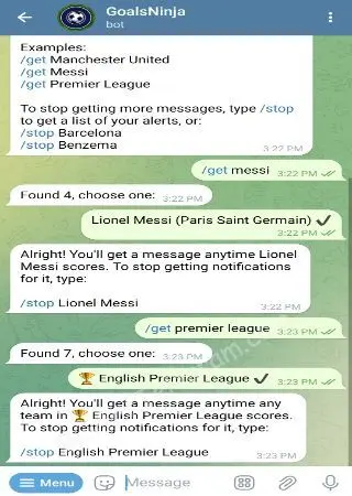 GoalsNinja preview 2