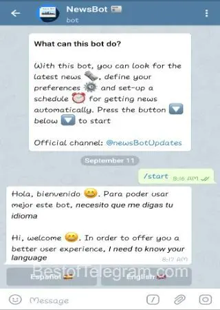 NewsBot 📰 preview 2