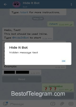 HideItBot step 4