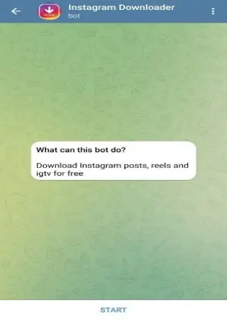 Instagram Downloader preview 1