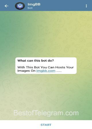 ImgBBRobot bot step 1 