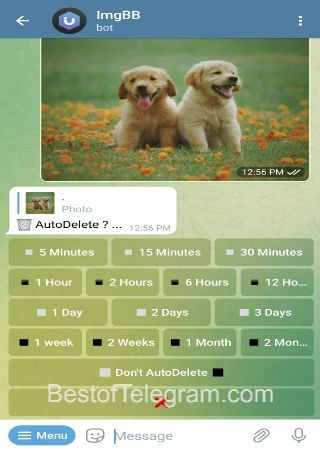 ImgBBRobot bot step 2