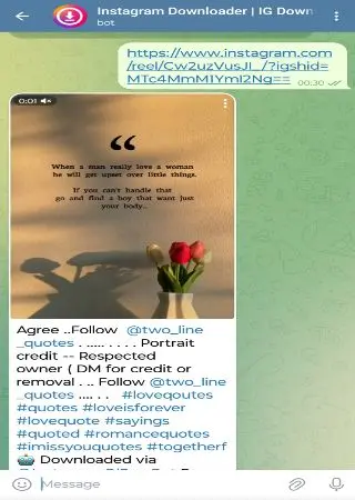 IG Downloader preview 2