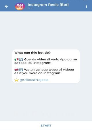 InstagramReels_bot 1 