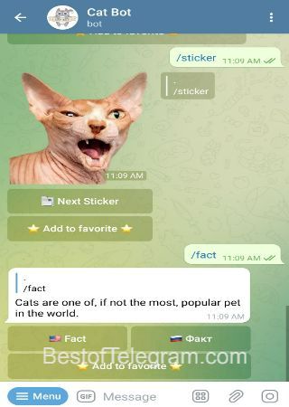 Kesylkenbot bot step 4