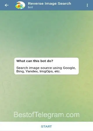 Reverse Image Search preview 1