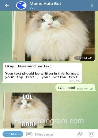 MemeAuto_Bot bot step 2