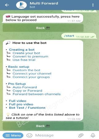 MultiForwardBot bot step 2