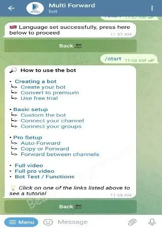 Multi Forward preview 2