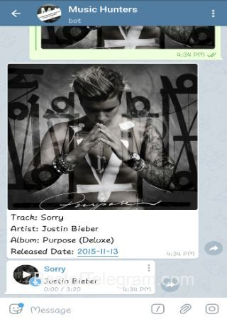 MusicHuntersBot-step-3