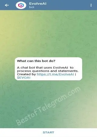 EvolveAI BOT | ChatGPT preview 1