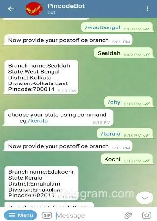 PincodeBot preview 2