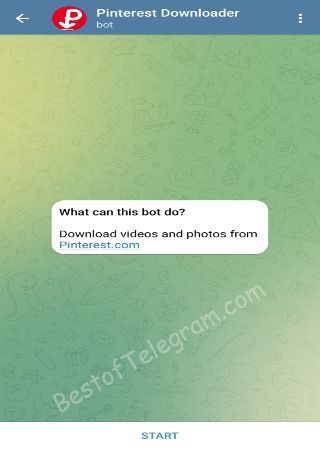 PinterestDownloader_Robot bot step 1