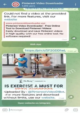 Pinterest Video Downloader preview 2