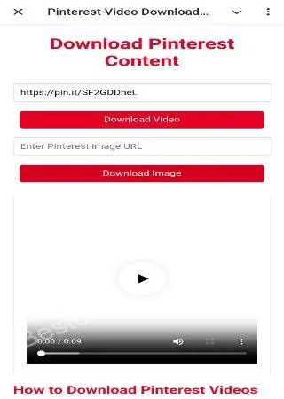 Pinterest Video Downloader preview 3