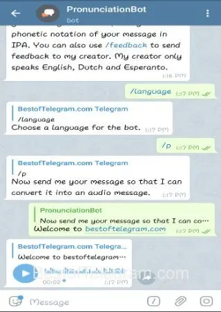 PronunciationBot preview 3
