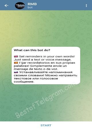 RemindMegaBot bot step 1
