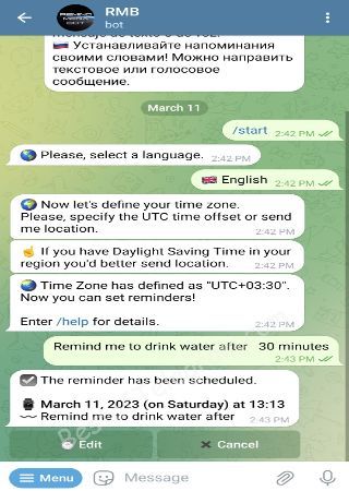 RemindMegaBot bot step 2