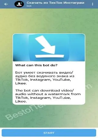 Download from TikTok, Instagram preview 1