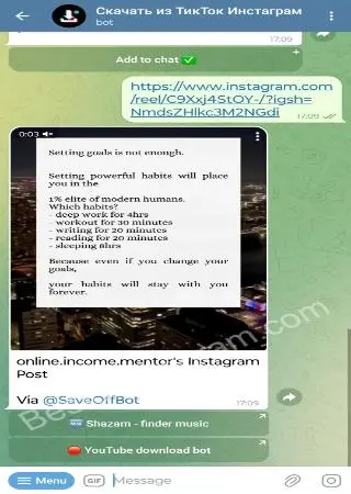 Download from TikTok, Instagram preview 2