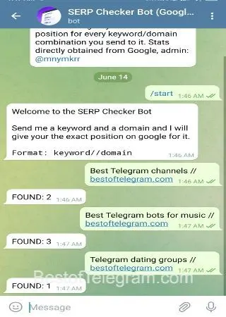 SERP Checker Bot preview 2