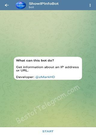 ShowIPInfoBot bot step 1