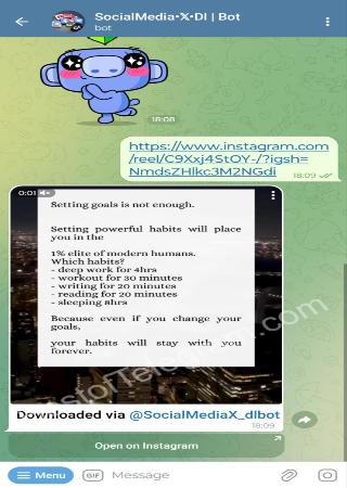 SocialMediaX_dlbot bot step 2