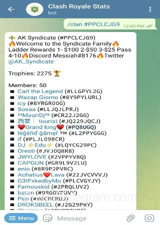 StatsClashRoyaleBot bot step 4