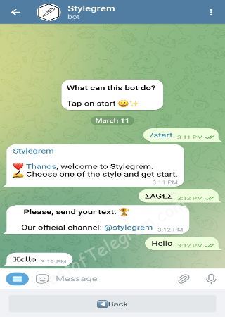 StylegremBot bot step 3