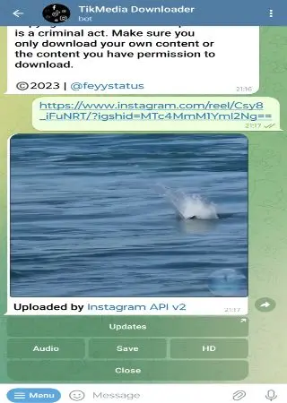 TikMedia Downloader preview 2