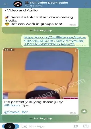 🎥 Full Video Downloader preview 2