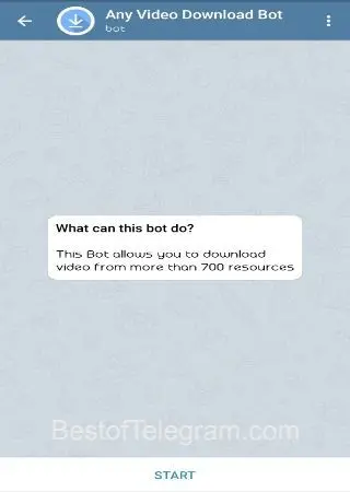 Video Download Bot preview 1