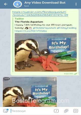 VideoDownloadBot step 2