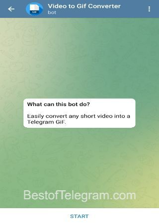 VideoToGifConverterBot bot step 1 